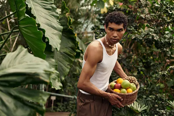 Stylish man gather fresh fruits in a lush greenhouse, surrounded by vibrant plants and nature. — Stock Photo