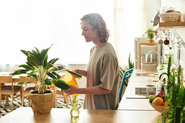Un joven atiende a su planta de interior, disfrutando del ambiente acogedor de su hogar. - foto de stock