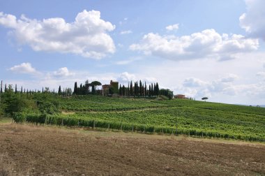 Toskana manzarası, Borgo Tre Rose.