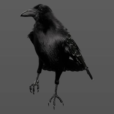 3D Rendering Illustration of Gorgeous Black Crow Raven Sitting and Perched Isolated clipart