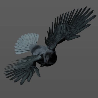 3D Rendering Illustration of Gorgeous Black Crow Raven in Flight Isolated clipart