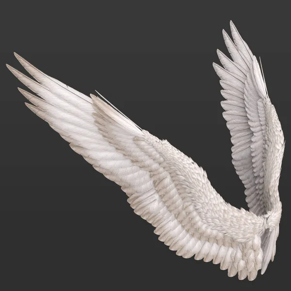 美丽羽毛的3D渲染 幻想天使翅膀在黑暗背景下独立飞行 图库图片