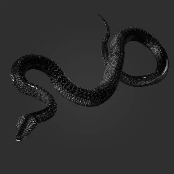 深黑白蛇蛇在愤怒的背景图片中的3D渲染 图库照片
