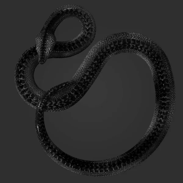 深黑白蛇蛇在愤怒的背景图片中的3D渲染 图库图片