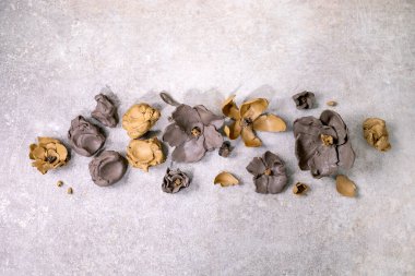 Clay Flower: DIY seramik atölye fikri. Koyu ve sarı çamurdan farklı bahar kil çiçekleri, işlenmemiş kil parçaları. Hafif arkaplan. Üst görünüm, afiş