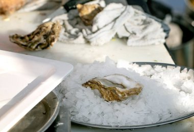 Street food festival in Europe. Traditional European seafood snack. Fresh open oyster on ice in disposable plate placed on food stall counter. clipart