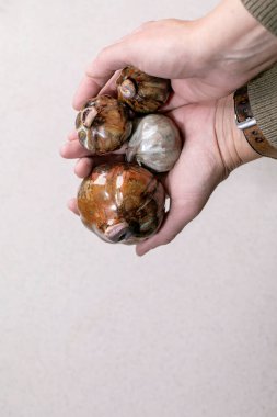 El yapımı seramik dekoratif balkabakları yakın çekim. Kahverengi ve gri renkli kil kaplı sanat eserleri sebzeleri andırıyor. Tarafsız arka plana karşı sanatsal çömlek parçaları, sonbahar ev dekorasyonu