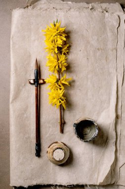 Sanatsal kompozisyon sarı forsythia dalı ahşap kaligrafi kalem mürekkebi, klasik dut kağıdı üzerinde. Yaratıcı çalışma alanı konsepti için minimum estetik yatıyordu.