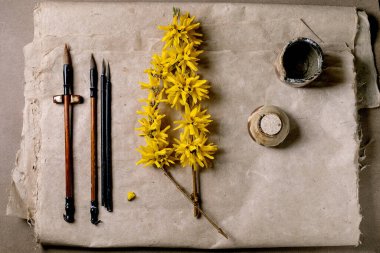 Kaligrafi fırçalı sanatsal kompozisyon bej desenli dut kağıdına sarı forsythia dal mürekkep kabı. Geleneksel Asya resim malzemeleri düz konumda..