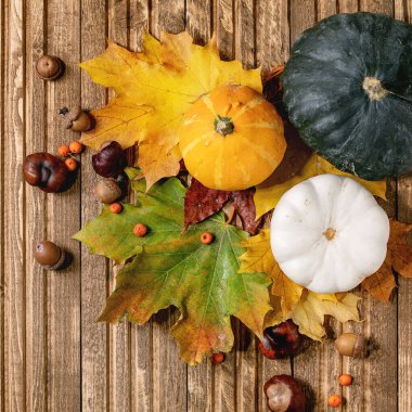 Ahşap zemin üzerinde kırmızı ve sarı sonbahar yaprakları kabak ve kestane ile çeşitlilik. Düz yatıyordu. Yaratıcı arkaplanı düşür.