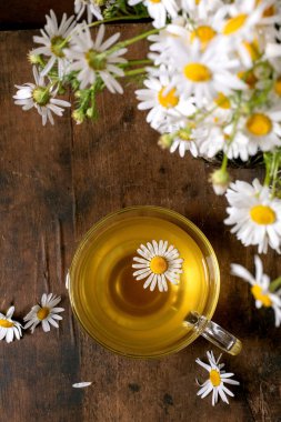 İçinde papatya çiçeği olan cam bardak papatya çayı. Kırsal ahşap arka planda taze beyaz papatyalarla çevrili. Doğal bitkisel içecek konsepti.