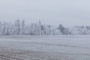 Kış manzarası. Ağaçlarda ve tarlalarda buz, buzlu sis. Orta Avrupa 'da kış sisi.