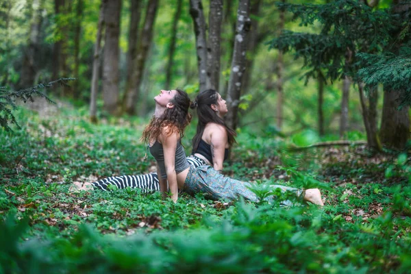 Pareja Chicas Practican Yoga Meditativo Bosque —  Fotos de Stock