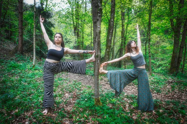 Pareja Mujeres Yoga Deportivo Posan Naturaleza —  Fotos de Stock