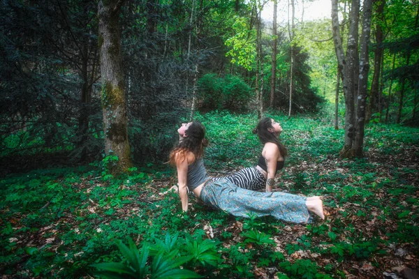 若い女性は森の中でペアでヨガを練習 — ストック写真