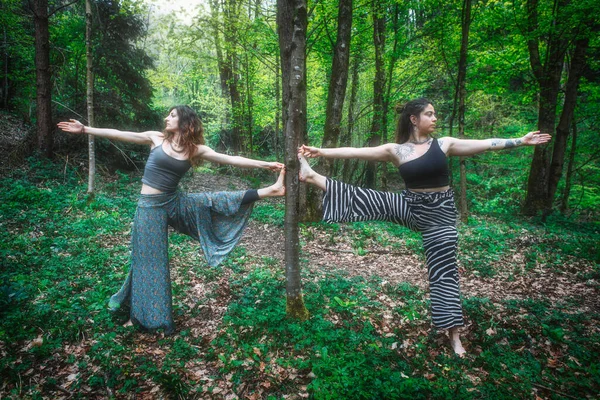 Sport Yoga Stellung Mit Ebenen Wald Praktiziert Von Ein Paar — Stockfoto
