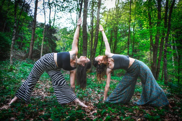 Sports Yoga Poses Couple Girls Practiced Nature — Stock Photo, Image