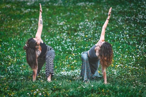 Female Couple Sports Yoga Practice Meadow Springtime — Stock Photo, Image
