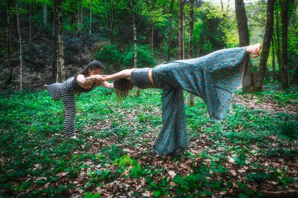 Спортивная Йога Природе Двумя Девушками Практикуемыми Лесу — стоковое фото