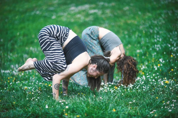 Akrobatická Pozice Jógy Ženským Párem Cvičeným Květinové Louce — Stock fotografie