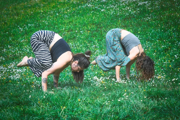 Sport Yoga Mit Weiblichem Paar Auf Einer Blumenwiese — Stockfoto