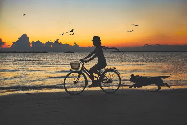Mujer Joven Bicicleta Faldas Mar Playa Amanecer Con Perro — Foto de Stock