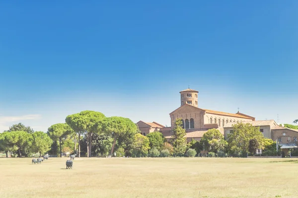 Basilikan Sant Apollinare Classe Ravenna Italien — Stockfoto