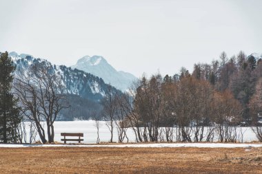 Alpine view with horizontal panorama of the Swiss Alps clipart