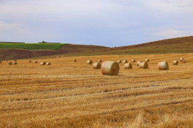 Toskana kırsalları, saman balyaları veya saman balyaları
