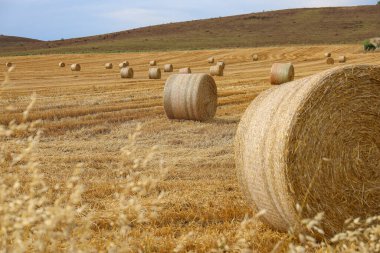 Toskana kırsalları, saman balyaları veya saman balyaları