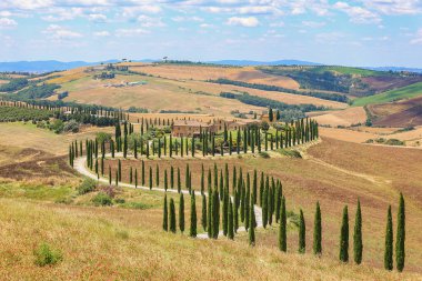 Toskana manzarası, evi ve selvi bulvarı olan tepe.