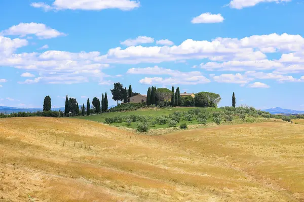 Toskana manzarası, evi ve selvi bulvarı olan tepe.