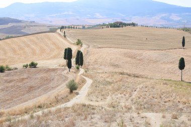 luogo della scena del film il gladiatore in toscana