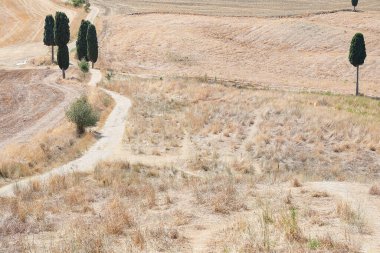 luogo della scena del film il gladiatore in toscana