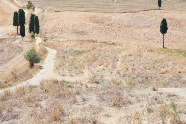 luogo della scena del film il gladiatore in toscana