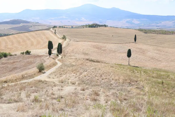 luogo della scena del film il gladiatore in toscana