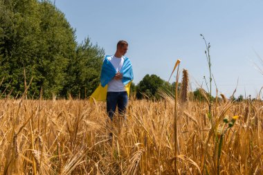 Pretty slim boy with yellow-blue flag of Ukraine in wheat field. lifestyle. Kyiv Ukraine. The concept of peace, Russias war with Ukraine. Protection, Reliability, hope.. High quality photo