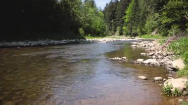 Beautiful mountain river with stones, green spring trees grows near the bank. The river and mountain folds. High quality FullHD footage