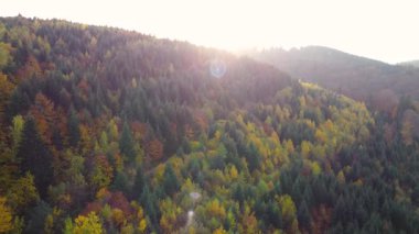 Göz kamaştırıcı panoramik hava manzarası canlı, yemyeşil ormanları yakalıyor. Ilık sabah güneşiyle güzelce aydınlatılıyor.