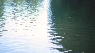 Suyun yüzeyi günbatımını yansıtır. Yüksek kaliteli FullHD görüntüler