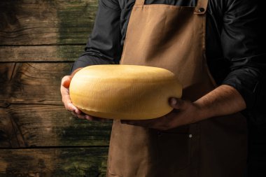 Peynir üreticisinin elinde bir kafa dolusu sert peynir. Lezzetli süt ürünleri. Büyük delikli peynirli maasdam.,