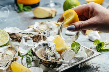 Yarım kabuklu istiridye. Kokteyl soslu taze istiridye ve taze limon. Restoranda istiridye yemeği..