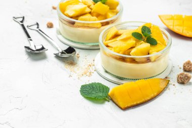 Panna cotta ve hafif arka planda taze mango parçaları. afiş, menü, metin için tarif yeri, üst görünüm.