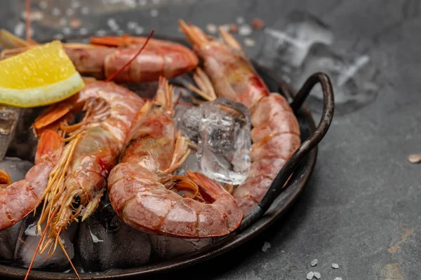 Shrimps, prawns. Seafood Red Argentine shrimps with ice, Wild shrimps, ocean jumbo shrimps. banner, menu, recipe place for text, top view.