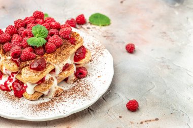Böğürtlenli, Tiramisu Tatlısı, ahududu ve naneli kek. Ev yapımı tatlı..