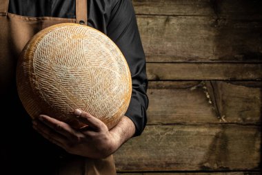 Peynir üreticisinin elinde bir kafa dolusu sert peynir. mermer peynir,