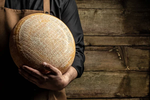 Peynir üreticisinin elinde bir kafa dolusu sert peynir. mermer peynir,