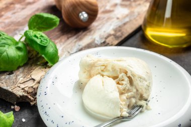 Puglia 'dan taze İtalyan peyniri, beyaz burrata topları veya burratina peyniri Basil ve zeytinyağı ve Ciabatta. metin için yer, üst görünüm.