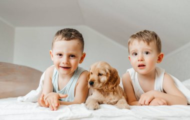 İki küçük çocuk yatakta komik bir köpekle oynuyorlar.,