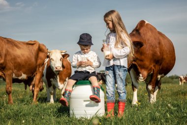 Otantik iki çiftçi çocuk, güneşli bir yaz gününde çiçeklerle dolu yeşil bir tarlada sütünü ellerinde tutarak süt içiyorlar. biyolojik süt ürünleri.